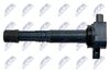 ECZ-HD-025_3-WM.JPG