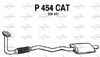 P454CAT.JPG
