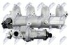 EGR-FR-015_4-WM.JPG