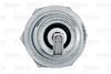 VALEO_SPARK_PLUG_246899_03.JPG