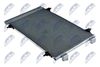 CCS-FT-021_2-WM.JPG