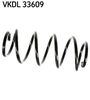 VKDL 33609.JPG