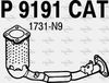 P9191CAT.JPG