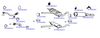 OP-EXSVG490_20260529082032.JPG