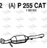 P255CAT.JPG