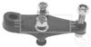 BBJ5670_207049.JPG