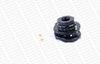 MK251L_2972055.JPG