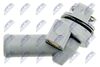 CTM-FR-010_3-WM.JPG