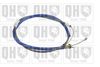 QH_BC2547.JPG