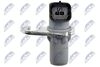 ECP-CT-008_4-WM.JPG