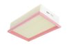 AIR FILTER_585476_03.JPG