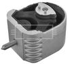 BEM4204_210932.JPG