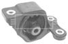 BEM3585_210430.JPG
