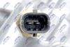 CTM-CH-021_6-WM.JPG