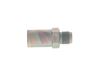 Bosch Pressure Relief Valve, common rail system 1 110 010 029