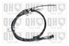 QH_BC3678.JPG