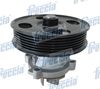Водяний насос, охолодження двигуна FRECCIA WP0130