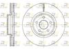 61602-10-MODEL.BMP