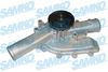 WP0870.JPG