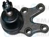 22515.JPG