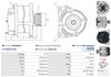 A0239(SEG)_256960.JPG
