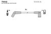T995G.BMP