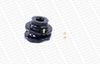 MK251L_2989665.JPG