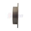 Fahren Brake Disc FBD6141