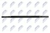 NWP-KA-305_1-WM.JPG