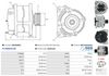 A0243(SEG)_256960.JPG