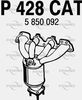 P428CAT.JPG