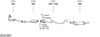 SYS11897.JPG