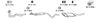 VW568.BMP