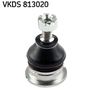 VKDS 813020.JPG