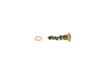 Bosch High Pressure Fuel Regulator F 026 T03 010