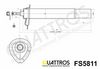 dv_sch_fs5811.JPG