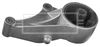 BEM4100_210876.JPG