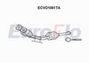 ecvo1061ta.JPG