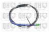 QH_BC3377.JPG
