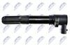 ECZ-FT-011_3-WM.JPG