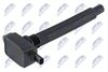 ECZ-FT-021_1-WM.JPG