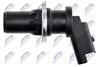 ECP-CT-005_3-WM.JPG