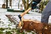 480806379.JPG