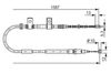 1987477717LIFRWHCO00MM.JPG