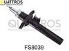 fs8039_1.JPG