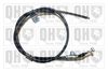 QH_BC4028.JPG