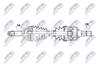 NPW-NS-170_9-WM.PNG