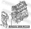 RINGOL-059-PCS10_1.JPG