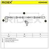 RIDEX