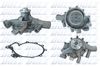 D319.BMP